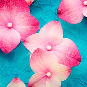 Meet your Posher, Sana